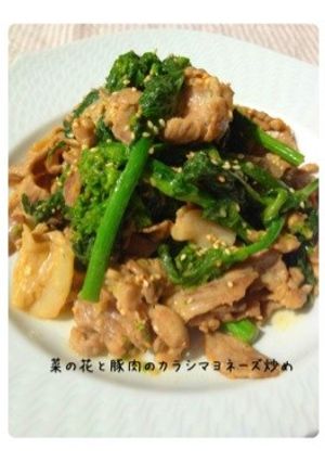 菜の花と豚肉のからしマヨネーズ炒め-レシピのメイン写真