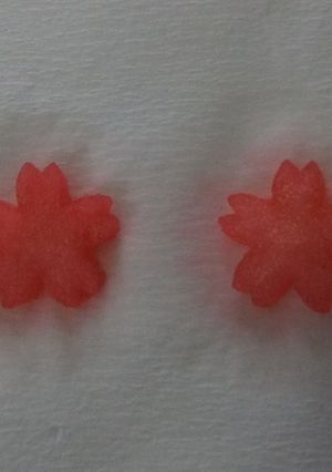 紅生姜の液ｄｅ桜色の大根に変身☆-レシピのメイン写真
