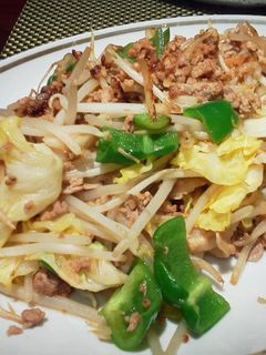 節約 炒め油を使わないヘルシー野菜炒め-レシピのメイン写真