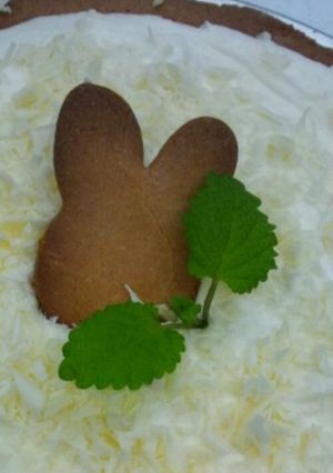 レアチーズタルト-レシピのメイン写真