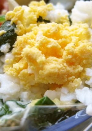 お弁当にもぴったり!ほうれん草のサラダ-レシピのメイン写真