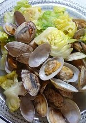 春キャベツとあさりの酒蒸し☆-レシピのメイン写真