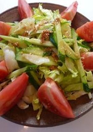 生野菜サラダ　にんにくドレッシング☆-レシピのメイン写真