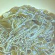 10分簡単!カレーにゅうめん