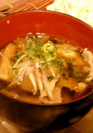 簡単！柔らかナスと長ネギつけ汁うどん-レシピのメイン写真