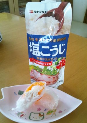 塩麹で生春巻き♪-レシピのメイン写真