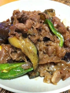 なすとピーマンと牛肉のピリ辛炒め♬-レシピのメイン写真