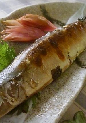 秋刀魚の塩麹焼き-レシピのメイン写真