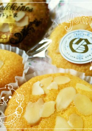 素朴で美味しいマドレーヌ-レシピのメイン写真