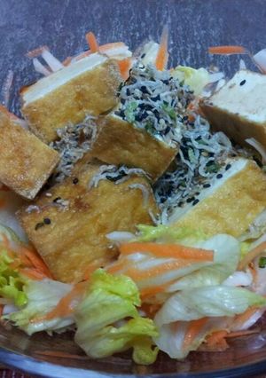 新玉ねぎと揚げ出し豆腐のサラダ-レシピのメイン写真