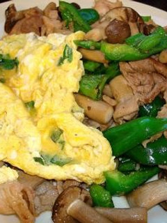 タイ風豚肉バジル炒めとオムレツ -レシピのメイン写真