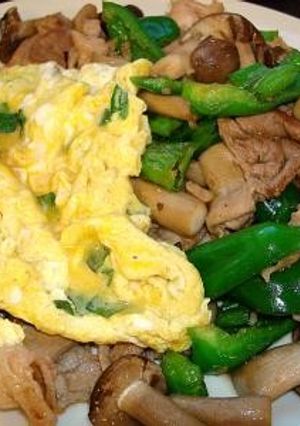 タイ風豚肉バジル炒めとオムレツ　-レシピのメイン写真