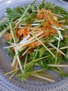 水菜のサラダ にんじんのドレッシング☆-レシピのメイン写真