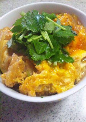 卵トロトロツユダク親子丼-レシピのメイン写真