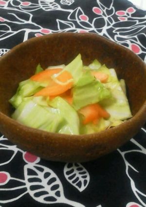 箸休めに◎キャベツとにんじんの和え物-レシピのメイン写真