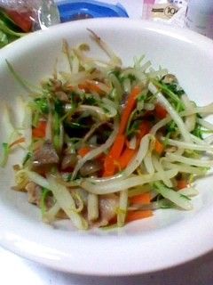 豆苗入りもやし炒め♪-レシピのメイン写真