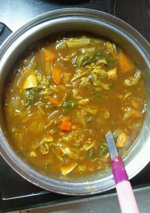 いろんな野菜deカレー☆-レシピのメイン写真
