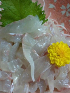 桜鯛で作る お刺身-レシピのメイン写真