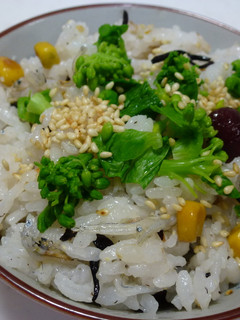 まめっこ炊き込みご飯-レシピのメイン写真