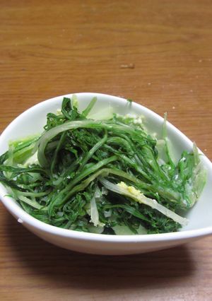 水菜の浅漬け-レシピのメイン写真