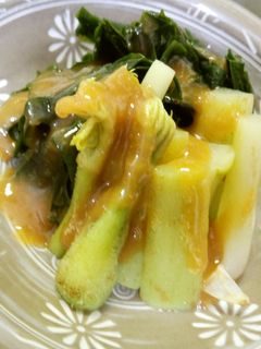 うどとわかめの酢みそがけ-レシピのメイン写真