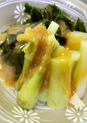 うどとわかめの酢みそがけ-レシピのメイン写真