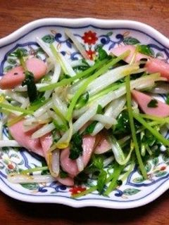 豆苗とモヤシのニンニク炒め-レシピのメイン写真