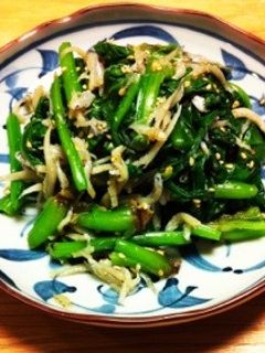 ほうれん草のおひたし-レシピのメイン写真