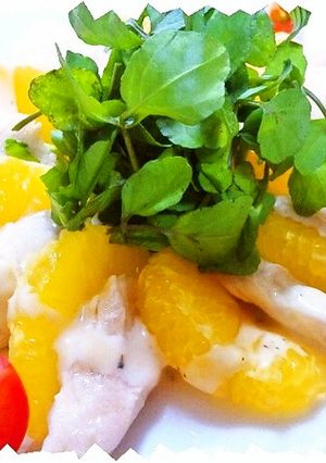 。+.鶏胸とはっさくの絶品サラダ.+。-レシピのメイン写真