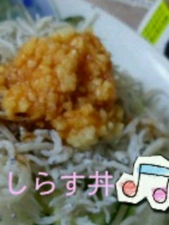 生姜きざみしらす丼-レシピのメイン写真