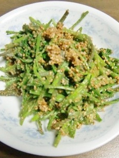 塩麹で味付け、胡麻たっぷりせりのごまあえ-レシピのメイン写真