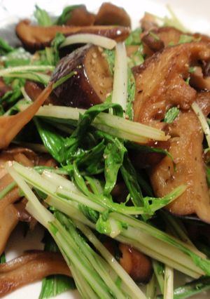いつもとちがう！水菜でシャキシャキ炒め☆-レシピのメイン写真