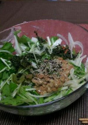 水菜と納豆の「ねばねば」サラダVer.2-レシピのメイン写真