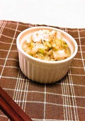 ご飯やおかずのお供に♡ネギ塩麹ダレ-レシピのメイン写真