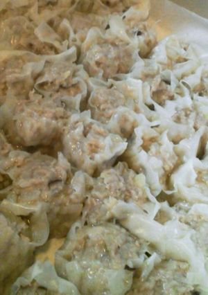 肉汁いっぱい 簡単しゅうまい-レシピのメイン写真