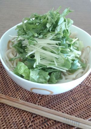 簡単＆節約！お肉の茹で汁でベトナム風麺-レシピのメイン写真