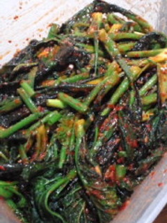 カッキムチ(からし菜…高菜のキムチ)-レシピのメイン写真