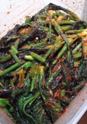 カッキムチ(からし菜…高菜のキムチ)-レシピのメイン写真