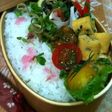 お弁当にカレー味のイワシはんぺんバーグ