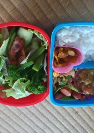 わたしのお弁当4月20日-レシピのメイン写真