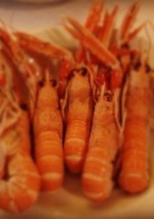 NO 9 HOMEMADE-レシピのメイン写真