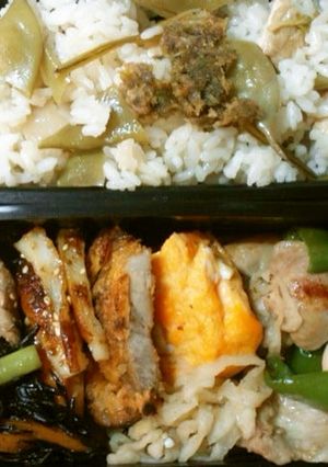 煮豚カツ弁当-レシピのメイン写真