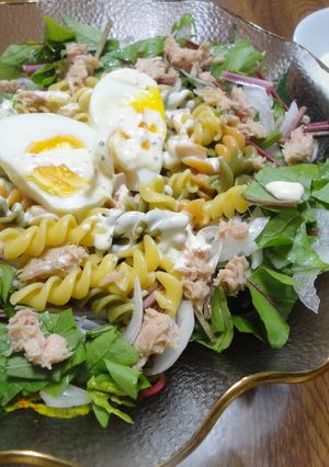 ヨーグルト風味のシーチキンマカロニ☆-レシピのメイン写真