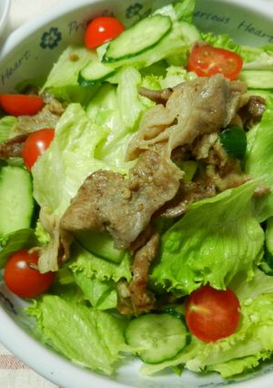 塩麹に漬けた豚肉入りサラダ☆-レシピのメイン写真