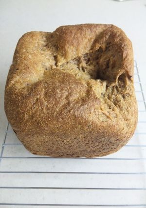 HB 全粒粉100% の プルーンパン-レシピのメイン写真