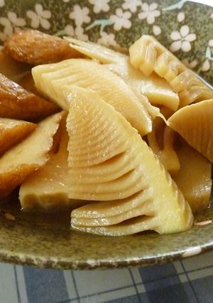 筍とさつま揚げの煮物☆-レシピのメイン写真