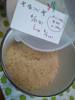 塩麹の作り方-レシピのメイン写真