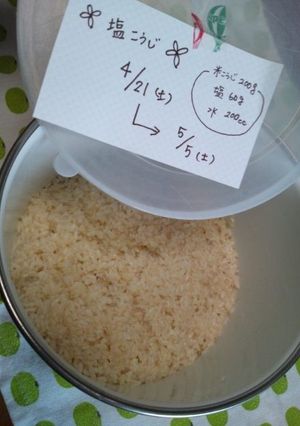 塩麹の作り方-レシピのメイン写真