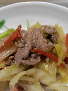 肉野菜炒めをごまでマイルドに!-レシピのメイン写真