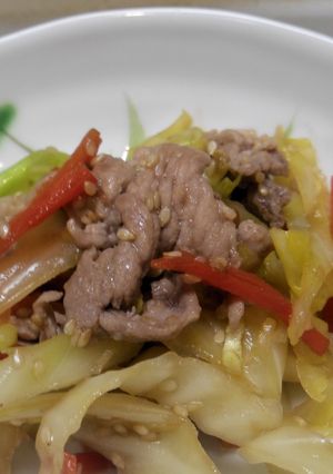 肉野菜炒めをごまでマイルドに！-レシピのメイン写真
